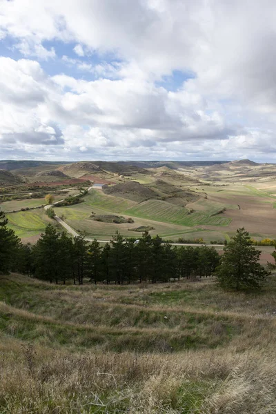 Routes autour de la ville de Medinaceli, Soria — Photo