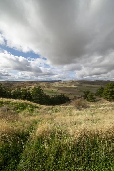 Medinaceli, Soria çevresindeki yollar — Stok fotoğraf