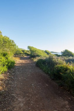 Irta de Alcocebre dağları boyunca patika