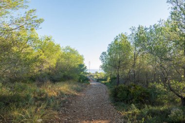 Irta de Alcocebre dağları boyunca patika