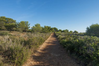 Irta de Alcocebre dağları boyunca patika