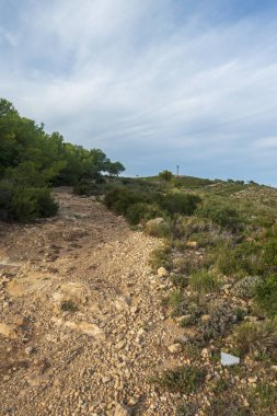 Oropesa del Mar 'dan Akdeniz manzarası