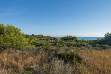 Alcocebre 'deki Sierra de Irta Denizi