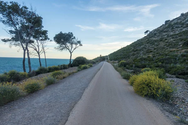 Zelená cesta Oropesa del Mar — Stock fotografie