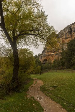 Soria eyaletindeki Lobos Nehri Kanyonu