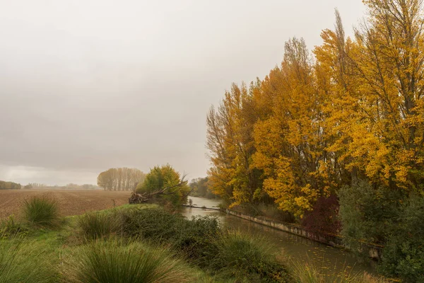 La Soria rural a cloudy autumn day — 스톡 사진