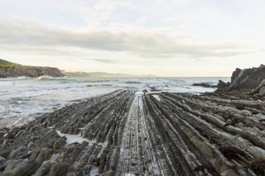 Bask ülkesindeki Zumaia 'daki sinek oluşumları.