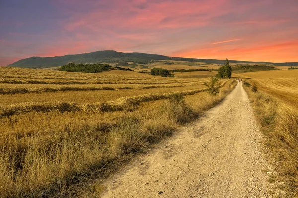 Şafakta Navarra 'daki Santiago yolu.