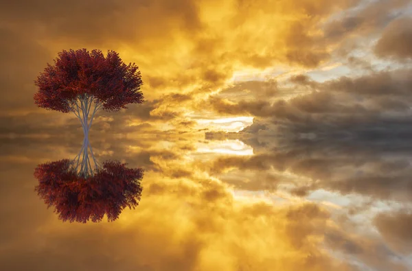 Egy fa és annak tükröződése a tóban hajnalban — Stock Fotó