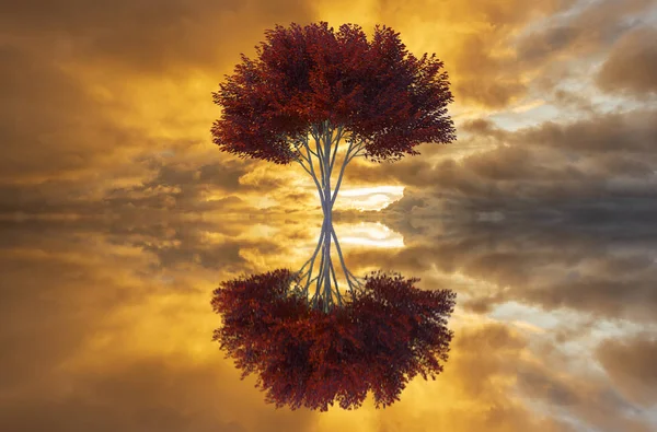 Un albero e il suo riflesso nel lago all'alba — Foto Stock