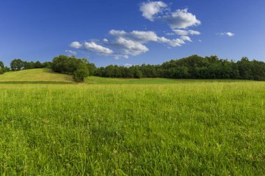Santiago yolu Navarra 'dan geçiyor.