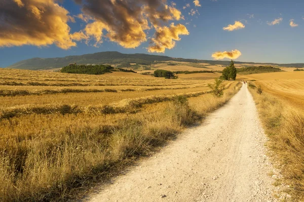Santiago yolu Navarra 'dan geçiyor.