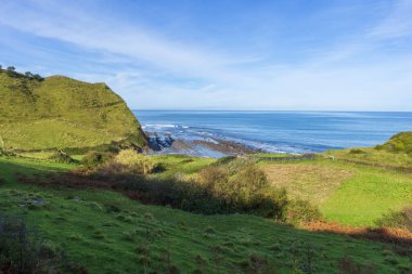 Zumaia ve Cantabrian Denizi 'ndeki sinek.
