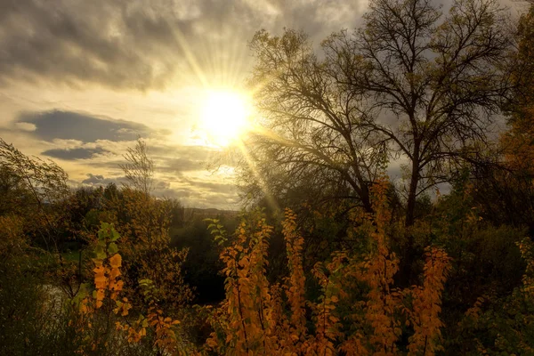 Slunce vychází mezi stromy v Soria — Stock fotografie