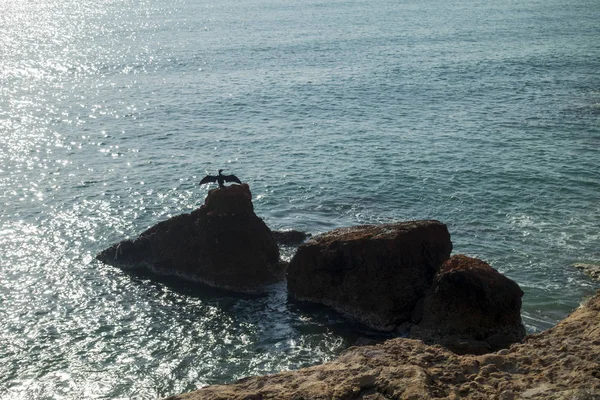 The coast in Vinaroz on a clear day, Costa Azahar — Stock Photo, Image