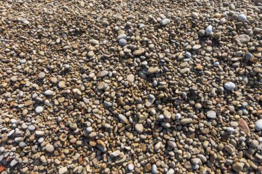 Bir sürü taşı olan bir arka plan.