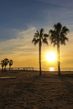 Gün doğumunda sahilde iki palmiye ağacı