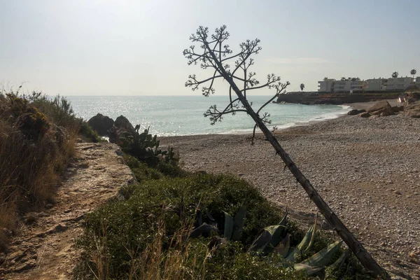 Vinaroz kıyıları açık bir günde, Costa Azahar — Stok fotoğraf