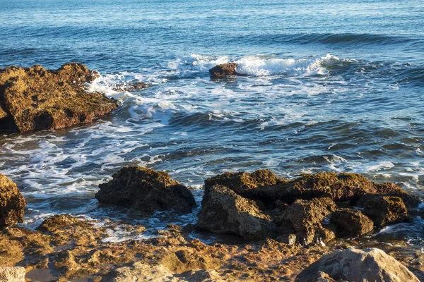 The coast of the renega a clear summer day — Stock Photo, Image