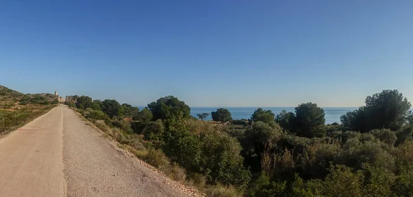 Zelená Cesta Benicassim Oropesa Del Mar Costa Azahar Španělsko — Stock fotografie