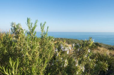 Oropesa 'daki kaçak sahili açık bir yaz günü, İspanya