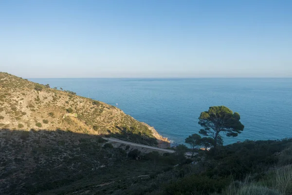 Zelená Cesta Benicassim Oropesa Del Mar Costa Azahar Španělsko — Stock fotografie