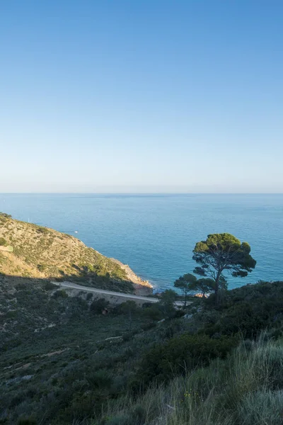 Zelená Cesta Benicassim Oropesa Del Mar Costa Azahar Španělsko — Stock fotografie