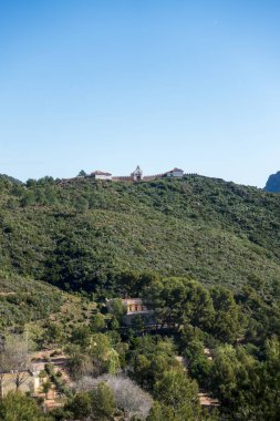 Benicassim, Costa Azahar, İspanya 'daki palmiyelerin çölü.