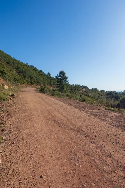 Deserto Delle Palme Benicassim Costa Azahar Spagna — Foto Stock