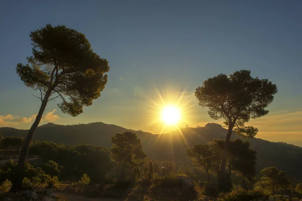 Sonnenaufgang Den Bergen Der Palmenwüste Spanien — Stockfoto