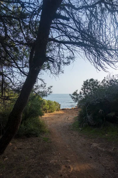 Das Renegatenviertel Oropesa Del Mar Spanien — Stockfoto