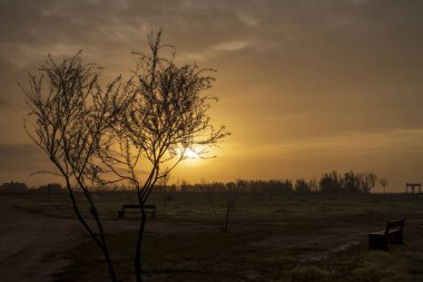 Tarragona, İspanya 'nın Ebro Delta' sında güzel bir gün doğumu