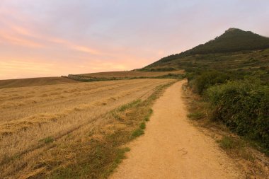 Camino de Santiago 'da gün doğumu Navarra, İspanya üzerinden
