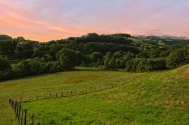 Camino de Santiago olarak: Navarra, Spain geçer
