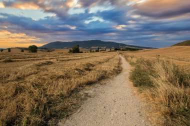 Camino de Santiago olarak: Navarra, Spain geçer