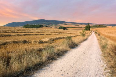 Camino de Santiago olarak: Navarra, Spain geçer