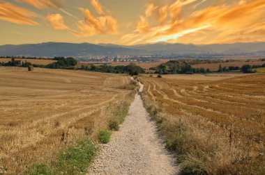 İspanya, Navarra 'da güneş doğarken Camino de Santiago' da.