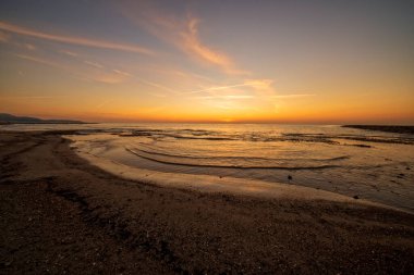 Güzel bir gündoğumu sırasında portakal çiçeği kıyısı, İspanya