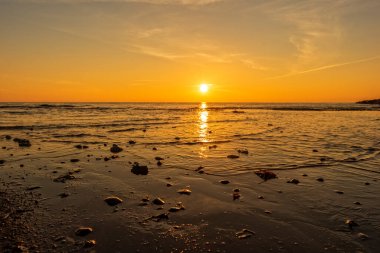 Güzel bir gündoğumu sırasında portakal çiçeği kıyısı, İspanya