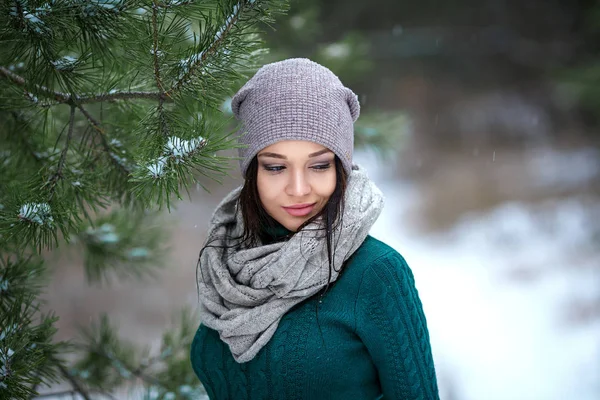美丽的女子在冬天的室外与雪的肖像 — 图库照片