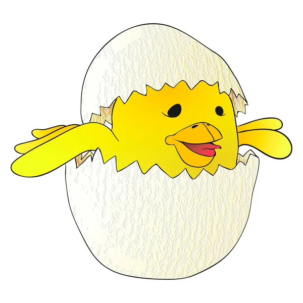 Kreslený žluté novorozence kuře ve skořápce rozbité vajíčko. — Stockový vektor