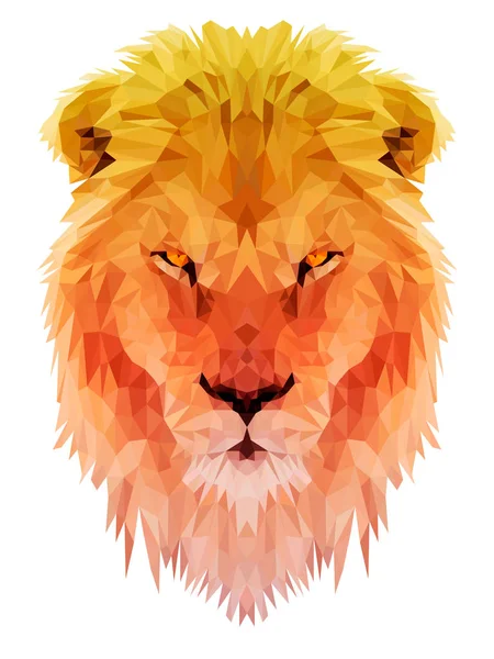 Aslan vektör çokgen triangulate