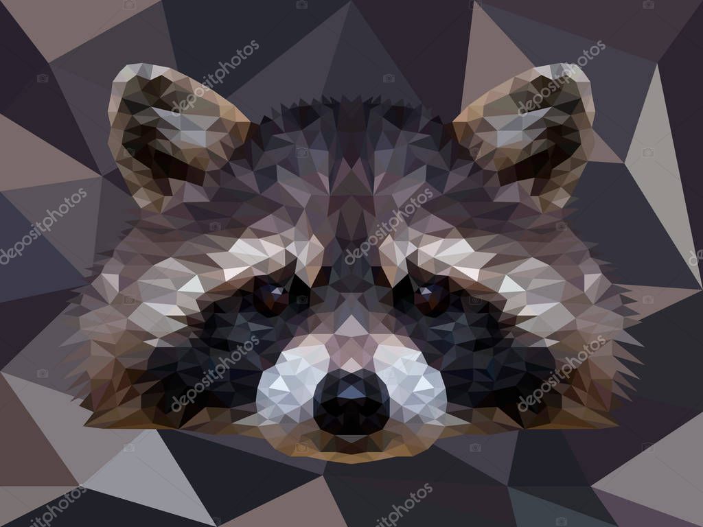 Vector polygonal raccoon isolated on white. Low poly raccoon illustration. Color vector simple animal predator image.