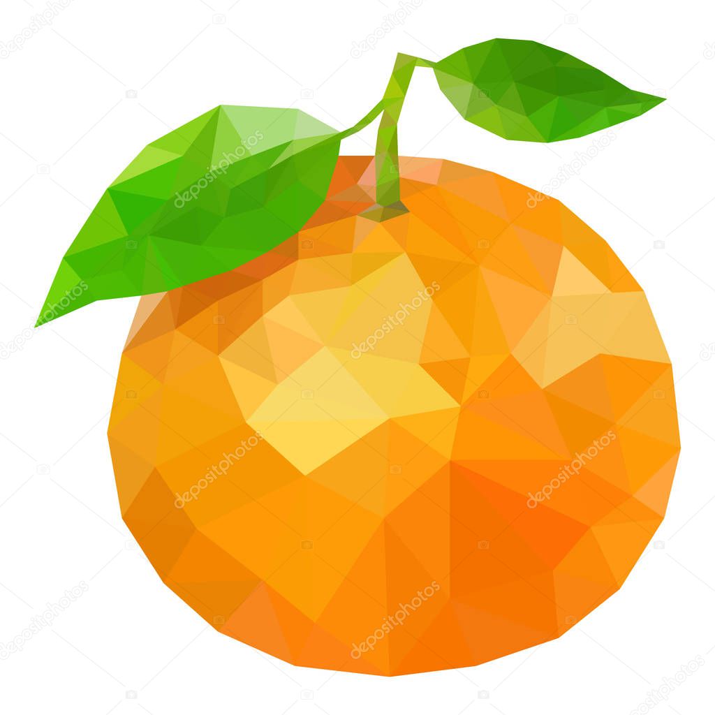 Vector illustration orange, polygonal orange, low poly