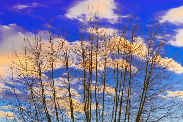 fantastik gökyüzü bulutlu