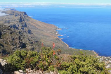 Güney Afrika 'daki Tablo Dağı' ndan okyanus manzarası
