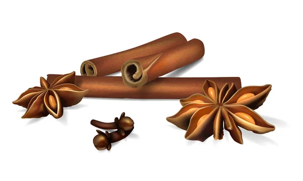 Tarçın, yıldız anason, karanfil. Gerçekçi vektör çizim.