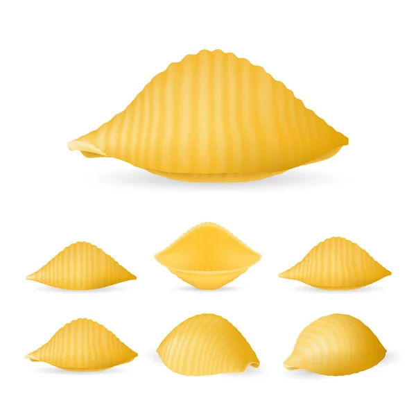 makarna conchiglioni, gerçekçi vektör çizim