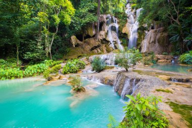 Tat Kuang Si şelaleler Luang Prabang, Laos