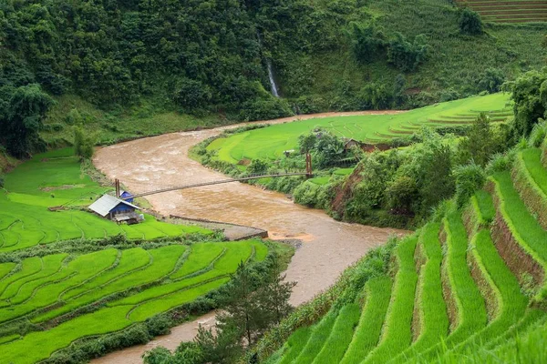 Campos de arroz verde em terraços em Mu cang chai — Fotografia de Stock